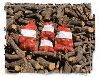 Pinion Firewood
